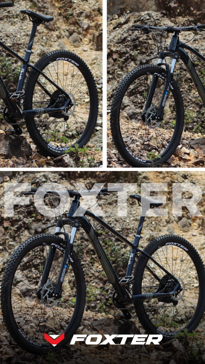 Bici 29 MTB Foxter Crown 17 Gris/Claro 1X12 C/Bloqueo